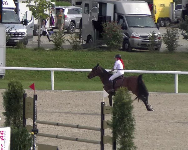 Reitturnier Bülach 2023