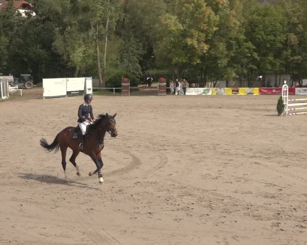 Reitturnier Richelsdorf 2023