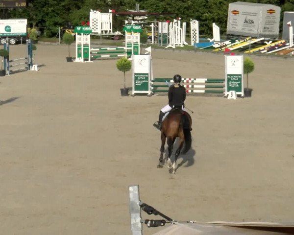 Reitturnier Maienfeld 2023