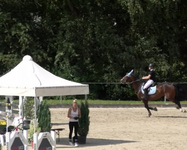 Reitturnier Maienfeld 2023