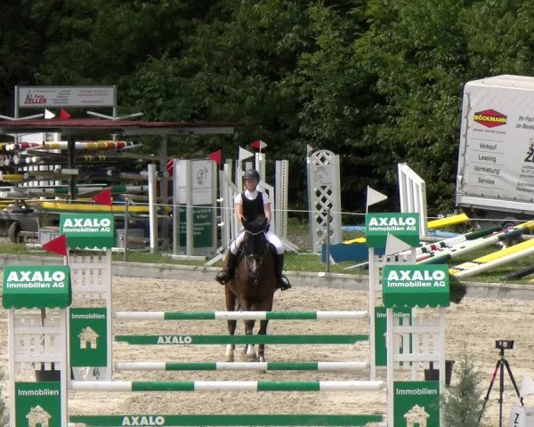 Reitturnier Maienfeld 2023