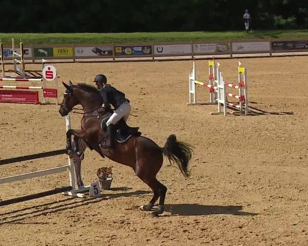 Reitturnier Tiefenhof 2023