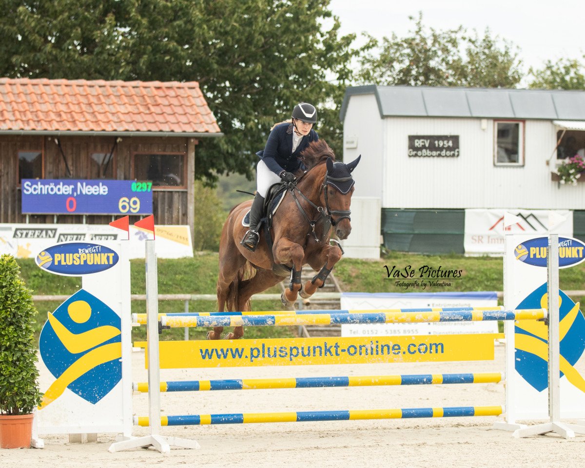 jumper Imprevisto 4 (German Sport Horse, 2016, from I'm Special de Muze)