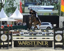 jumper Calvilot (Oldenburg show jumper, 2007, from Calvaro Z)