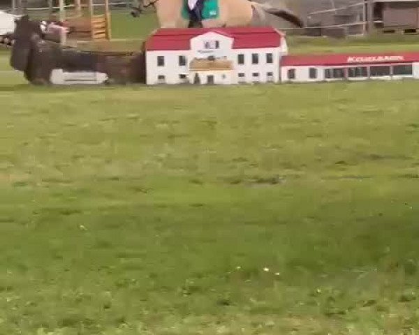 Video of Donito 7