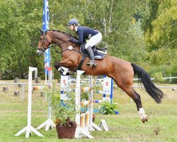 jumper Deichhof's Ghaliya (Hanoverian, 2013, from Graf Top)