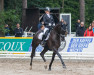 dressage horse Rosé 2 (Oldenburg, 2017, from Revolution)