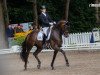 dressage horse Freenet (Hanoverian, 2017, from Fürstenball)