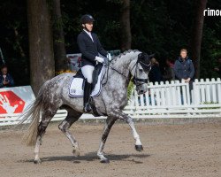 dressage horse Fürstin Grace Kelly (Oldenburg, 2017, from Finnigan)