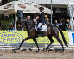 dressage horse Be Dschinni H (Westphalian, 2017, from Bernay)