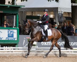 dressage horse Feine Deern (Hanoverian, 2017, from Franz Ferdinand)