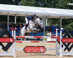 jumper Iron Dames Zoe Blue Bth (Holsteiner, 2016, from Zirocco Blue)