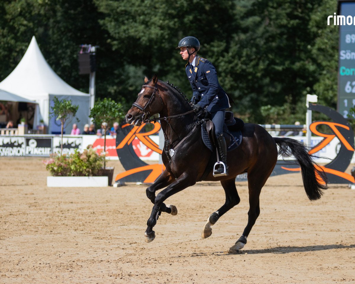 stallion Corneo Tf (Westphalian, 2016, from Cornet Obolensky)