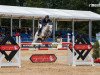 jumper Fangio De Will (Holsteiner, 2016, from For Pleasure)