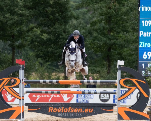 stallion Ziroccocorte OLD (Oldenburg show jumper, 2016, from Zirocco Blue)