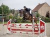 jumper Cerina Rt (German Sport Horse, 2017, from Cezaro)