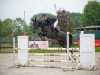 Springpferd Quick Lunatic (Slowenisches Warmblut, 2018, von Emerald van 't Ruytershof)