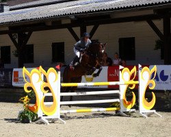 jumper Cider SK (Zangersheide riding horse, 2017, from Cicero Z van Paemel)