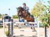 jumper Pistache van de Kwakkelhoek (Belgian Warmblood, 2015, from Corydon van T&L)