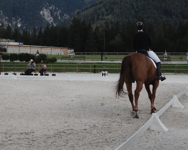 Reitturnier St. Ulrich am Pillersee 2023