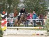 jumper Nitschko T (German Riding Pony, 2009, from Nibelungenheld)