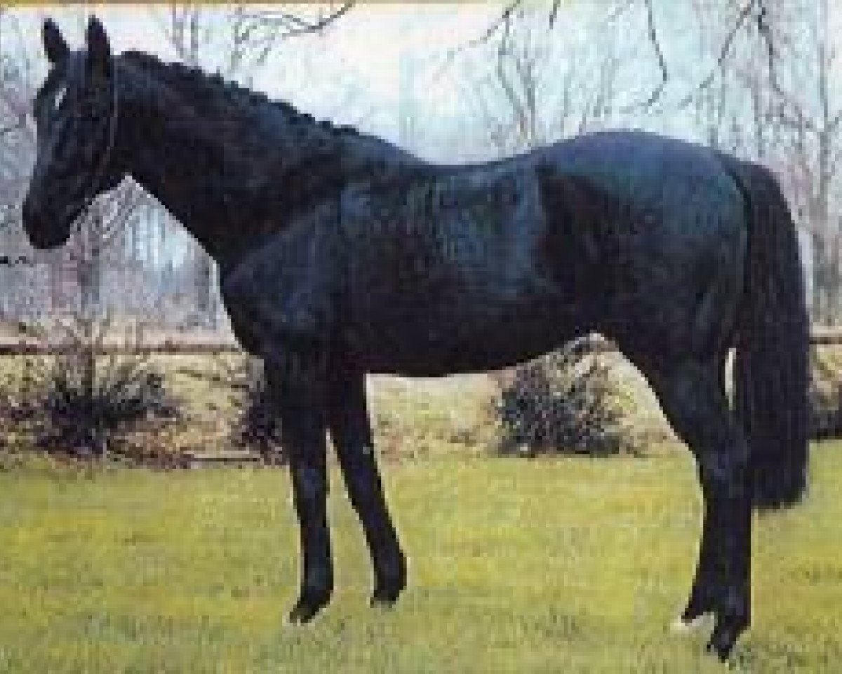 Deckhengst Cadoubel xx (Englisches Vollblut, 1985, von Cadoudal xx)