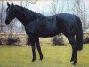 stallion Cadoubel xx (Thoroughbred, 1985, from Cadoudal xx)