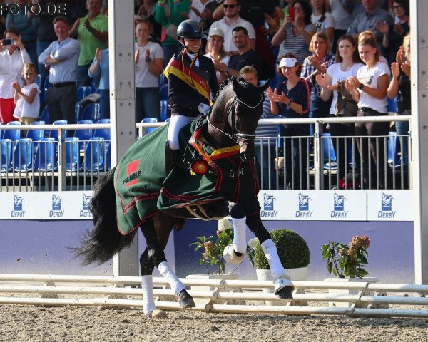 stallion Escanto PS OLD (Oldenburg, 2019, from Escamillo)