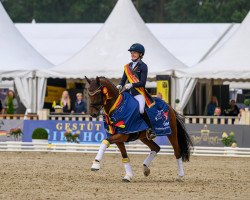 dressage horse Kastanienhof Roxette (German Riding Pony, 2020, from Notting Hill 2)