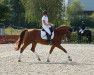 dressage horse Pontiacs Passion (Mecklenburg, 2006, from Poker E)