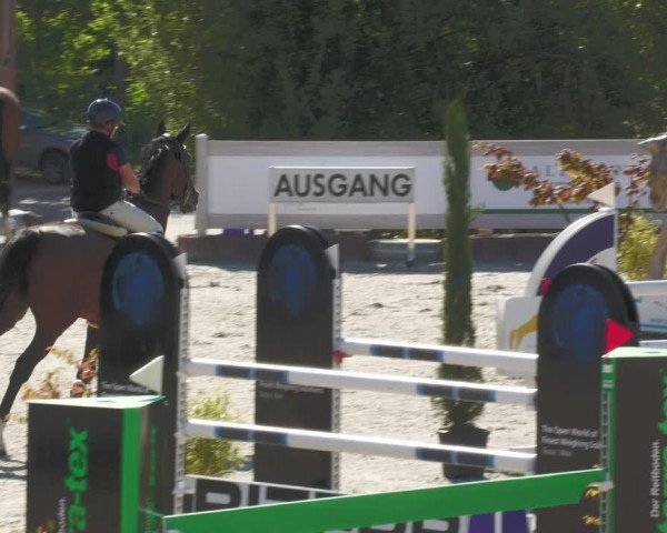Reitturnier Winterlingen 2023