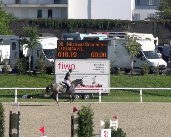 Reitturnier Bülach 2023