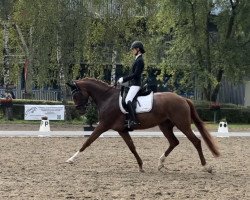 dressage horse Viliana (German Sport Horse, 2019, from Vitalis)