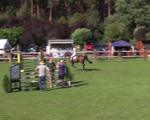 Reitturnier Niemegk / Neuendorf 2023