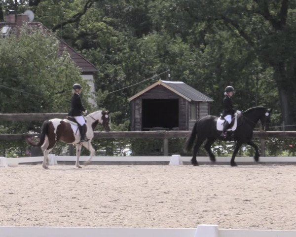 Reitturnier Müncheberg 2023