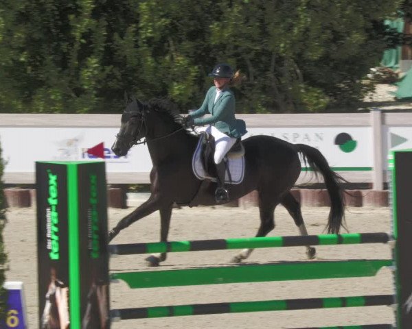 Reitturnier Winterlingen 2023