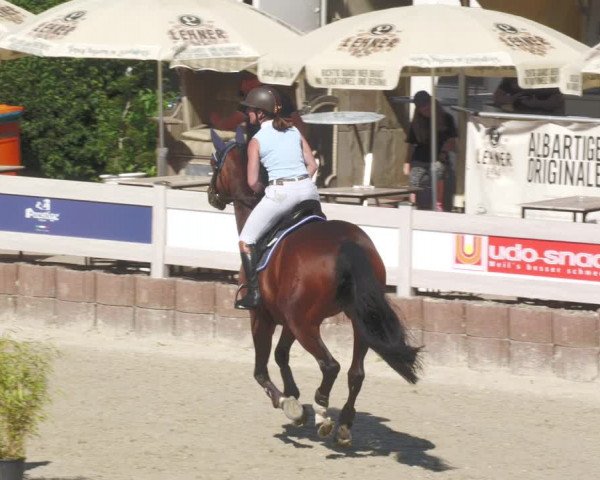 Reitturnier Winterlingen 2023