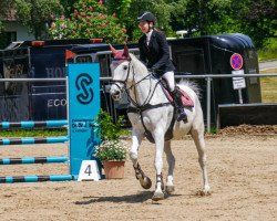 dressage horse Capolavoro 2 (Oldenburger Springpferd, 2004, from Celano)