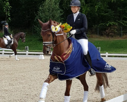 dressage horse DSP Dimanche Royal (German Sport Horse, 2017, from Damon's Damiani)