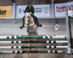 dressage horse Kienbergs Tabaluga (Welsh-Pony (Section B), 2012, from Breeton Toy)