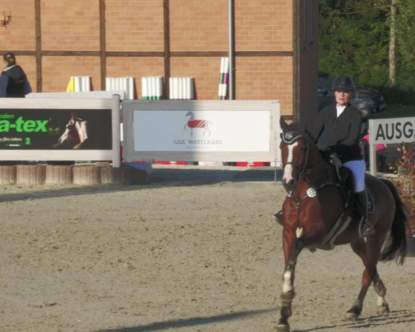 Reitturnier Winterlingen 2023