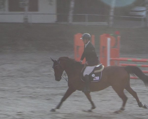 Reitturnier Langenleuba - Oberhain 2023