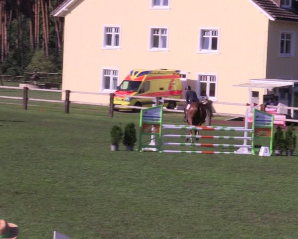 Reitturnier Niemegk / Neuendorf 2023