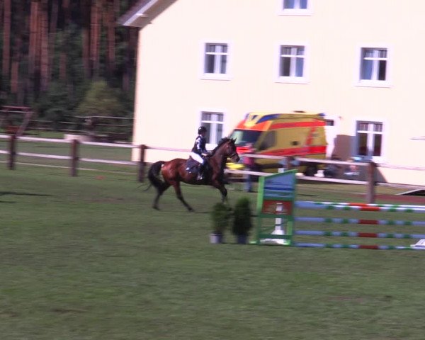 Reitturnier Niemegk / Neuendorf 2023