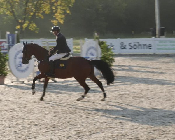 Reitturnier Babenhausen 2023