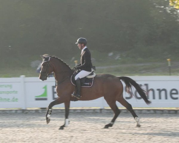 Reitturnier Babenhausen 2023