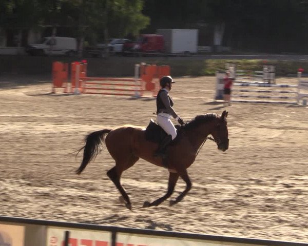 Reitturnier Langenleuba - Oberhain 2023