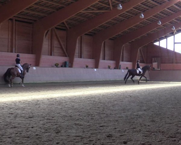 Reitturnier Dortmund-Barop 2023