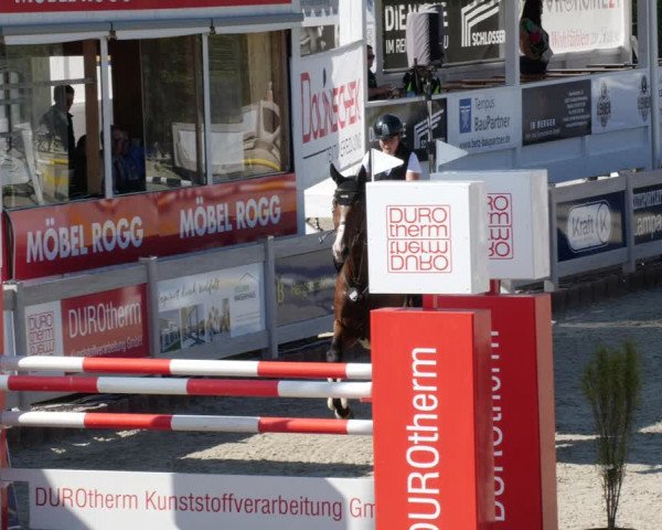 Reitturnier Winterlingen 2023