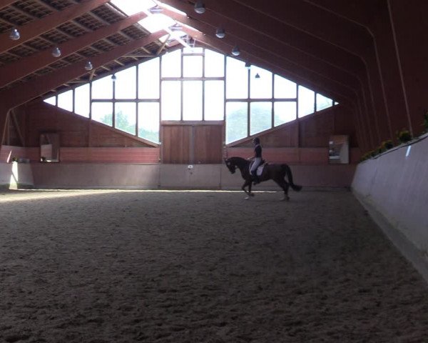 Reitturnier Dortmund-Barop 2023